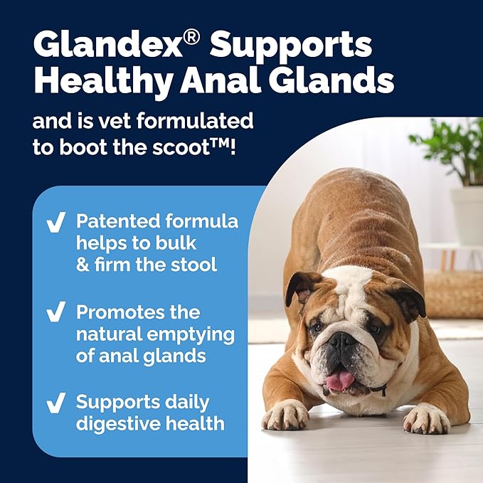 Vetnique Glandex Anal Gland Soft Chew Treats with Pumpkin for Dogs Digestive Enzymes, Probiotics Fiber Supplement for Dogs Boot The Scoot (Peanut Butter Chews, 120 Count)-Mewly Pet