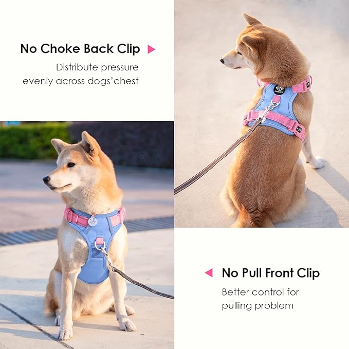 PHOEPET No Pull Dog Harness, Unique Colors Reflective Adjustable Dog Vest, with Soft Training Handle Metal Clips for Small Medium Large Dogs (Baby Blue Base & Pink Straps,L)-Mewly Pet