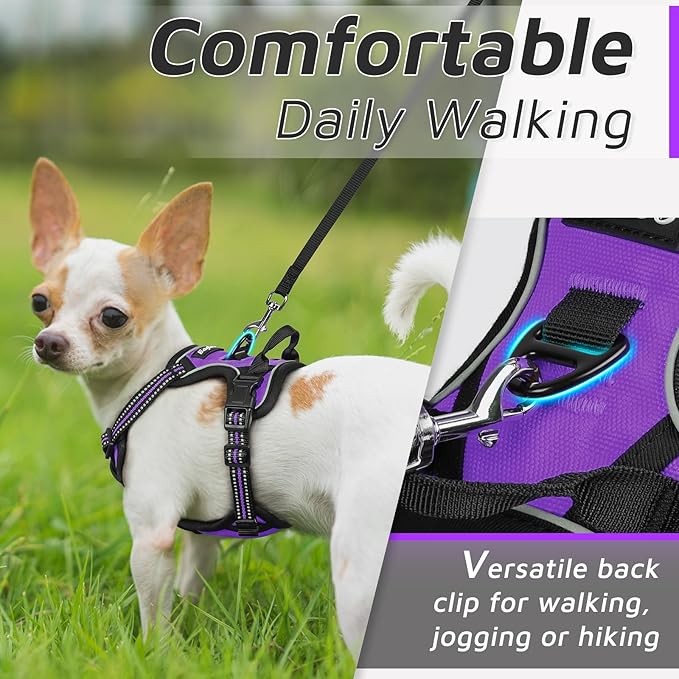 Eagloo Small Dog Harness No Pull, Service Vest with Reflective Strips and Control Handle, Adjustable and Comfortable for Easy Walking, No Choke Pet Harness with 2 Metal Rings, Purple, XS-Mewly Pet
