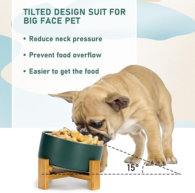SPUNKYJUNKY 15° Slanted Ceramic Dog and Cat Bowl with Wooden Stand, Tilted Bulldog Food and Water Bowl No Slip Non-Spill for Cats Medium Dogs Big Face Pets 28.7 OZ (3.6 Cups, Green)-Mewly Pet