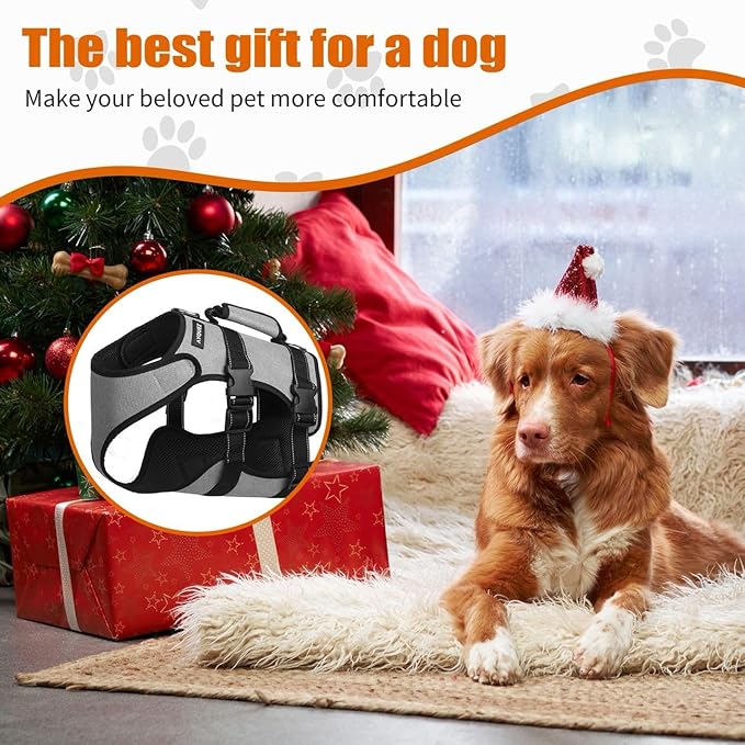 Ayquez Dog Lift Harness with Storage and Transport Bag, Dog Harness with Handle for Lifting & Hip dysplasia, arnés para Perros pequeños, pechera para Perros (Gray, L)-Mewly Pet