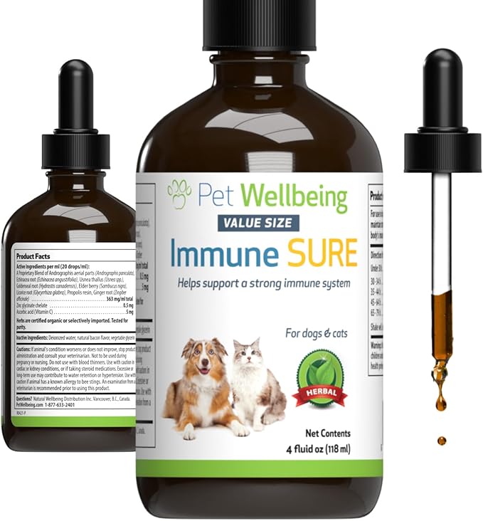 Pet Wellbeing Immune Sure for Dogs - Supports Normal Immune Defenses, Gut Flora Balance, Andrographis, Echinacea, Vitamin C, Zinc - Veterinarian-Formulated Herbal Supplement 4 oz (118 ml)-Mewly Pet