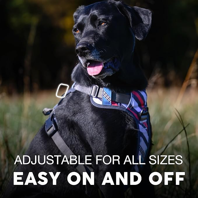 Embark Adventure Dog Harness, Reflective Trim No Pull Dog Harnesses for Small Sized Dogs - Military Grade Nylon, Front Clip with Gel Lined Handle.-Mewly Pet