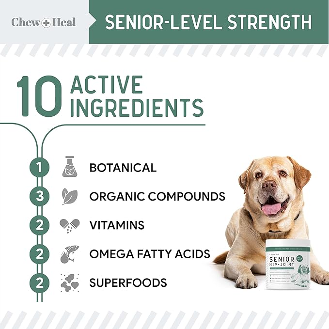 Glucosamine for Dogs Hip and Joint Supplement - 60 Senior Dogs Mobility Soft Chews - Made with Glucosamine, MSM, Chondroitin, Green Lipped Mussels and More - Made in The USA-Mewly Pet