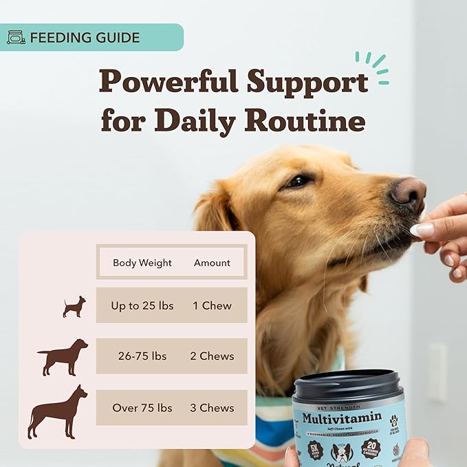 Natural Dog Company Vet Strength Multivitamin Chews for Dogs – Glucosamine, Omega-3 & Biotin for Dogs, Skin & Coat Health, Digestive Health, Immune Support Supplement, Advanced Formula, 90 cnt-Mewly Pet