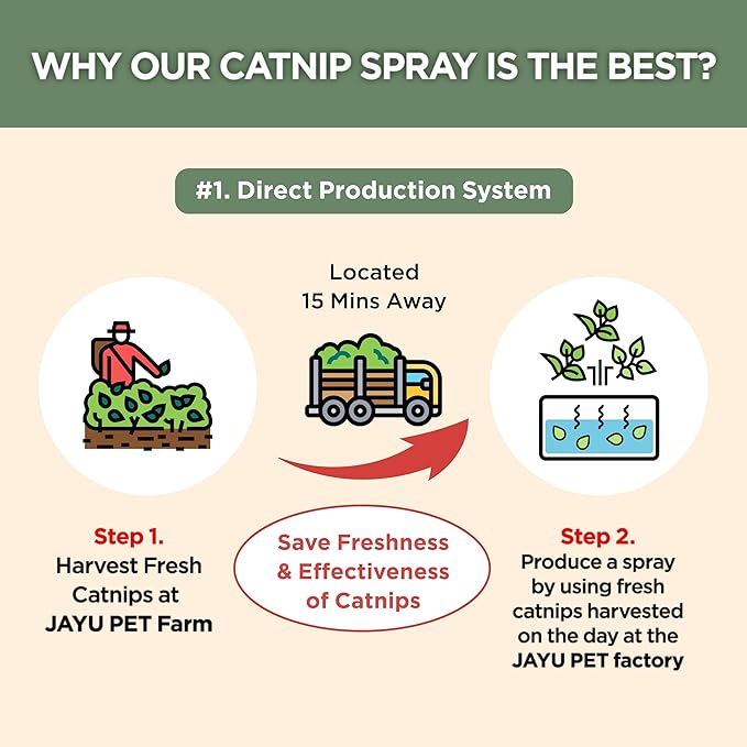 JAYU PET Active Catnip Spray - High Potency Transparent Liquid Spray made of Fresh Organic Catnip for Indoor Cats and Kittens, Relieves Stress, Calming, Revives Toys (1fl oz) (Catnip Spray, 1fl oz)-Mewly Pet