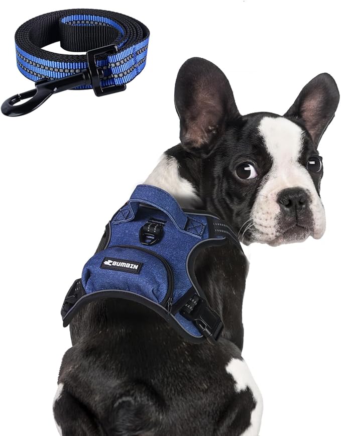 BUMBIN Dog Harness for Large Dogs, No Pull Adjustable No Choke Pet Vest with Dog Leash Fit Smart Reflective Pet Walking Harness for Training Easy Control Soft Handle Denim Blue L-Mewly Pet