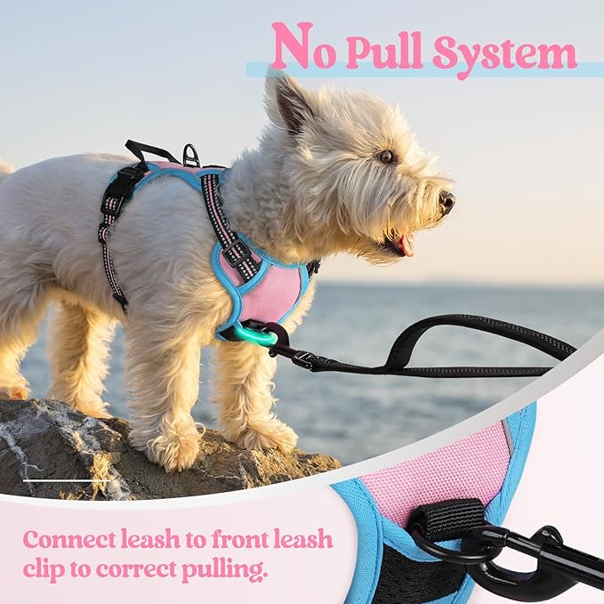 rabbitgoo Dog Harness No Pull with 2 Leash Clips, Adjustable Soft Padded, Reflective Oxford No Choke Pet Vest with Easy Control Handle for Puppy, Pink & Blue, XS-Mewly Pet