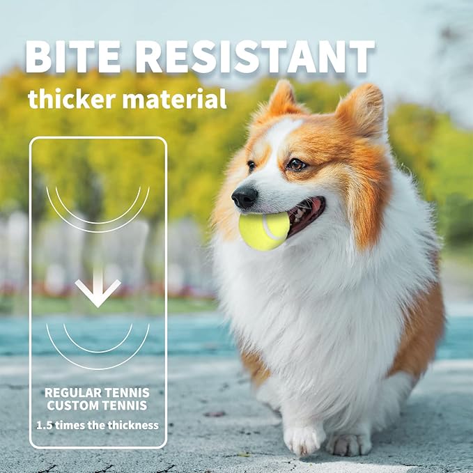 ALL FOR PAWS Interactive Super Bounce Tennis Balls Dog Toy, Pet Safe Toys for Exercise and Training, 2.5 Inch Diameter (6 Pack)-Mewly Pet