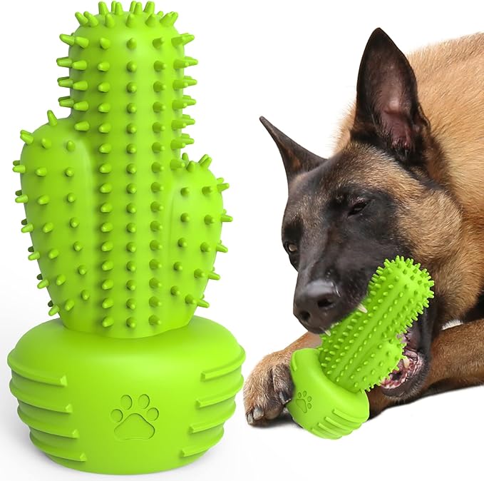 Dog Chew Toys Dog Toothbrush Stick Teeth Cleaning Brush Dental for Small Medium Large Dog, Rubber Squeaky Toys for Aggressive Chewers Cactus Tough Toys-Mewly Pet