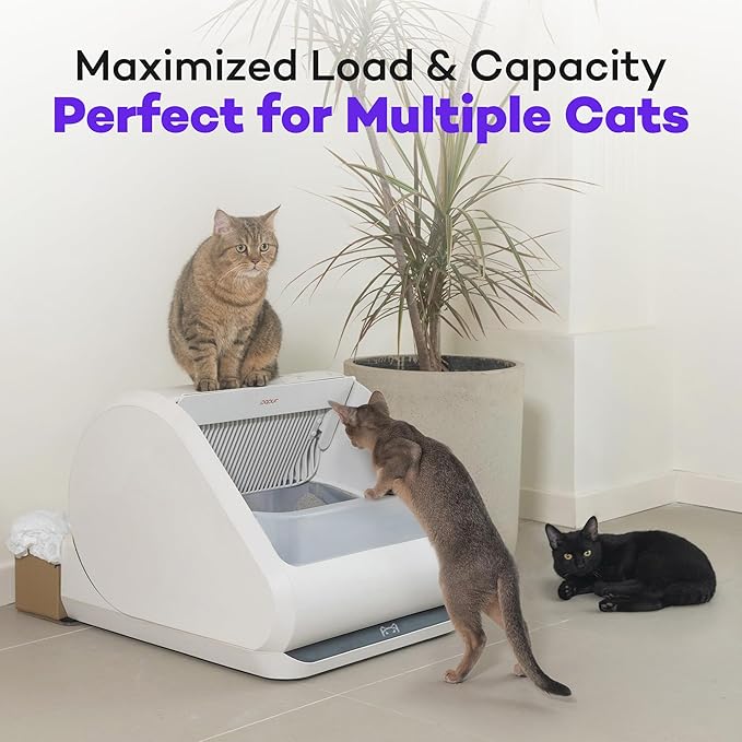 (Upgraded) Popur X5 Self Cleaning Cat Litter Box - Unique Open Top Split System - Automatic Litter Scooping Robot, Odor-Seal, 24 Inch Tray, 30-Day Capacity, 33 lbs. Load, 99% Leakproof (Cardboard Bin)-Mewly Pet