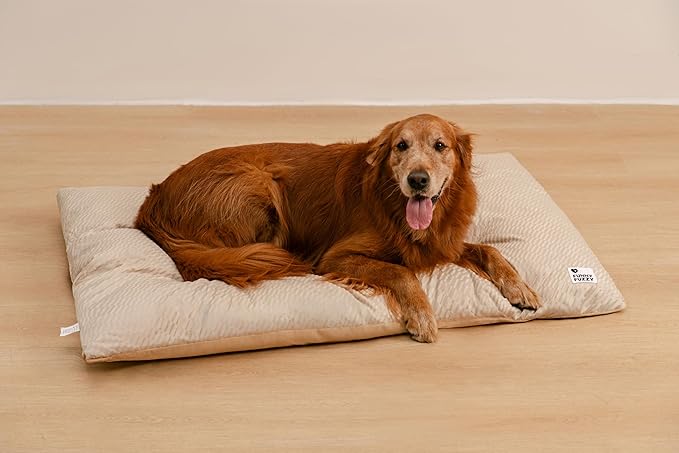 FUNNY FUZZY Washable Dog Bed,Reversible Plush Dog Crate Mat, Soft Fluffy Kennel Pad,Pet Sleeping Mattress for Jumbo,X-Large Sized Dogs Breeds,2XL,48"× 31",Beige-Mewly Pet