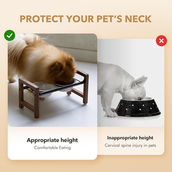 5.5inch Ceramic Adjustable Raised Double Bowls Set with Stand, 3 Heights Elevated, 2 Placement Options,Food and Water Dishes for Puppy, Cats（Double Bowls+Stand, Reactived Glaze -White-Mewly Pet