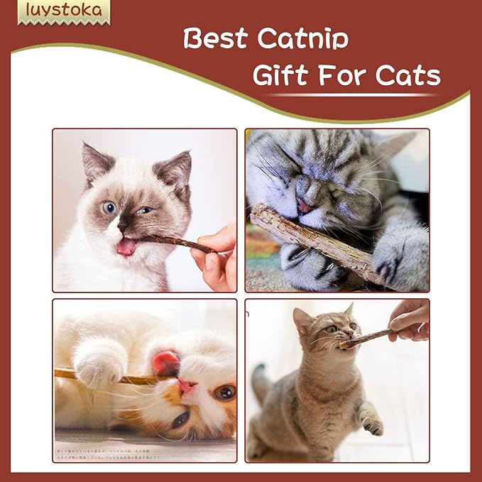 Cat Toys - Silvervine & Matatabi Catnip Toys, 10PCS Indoor Kitty Chew Sticks & Wand Toys for Bored Cats-Mewly Pet