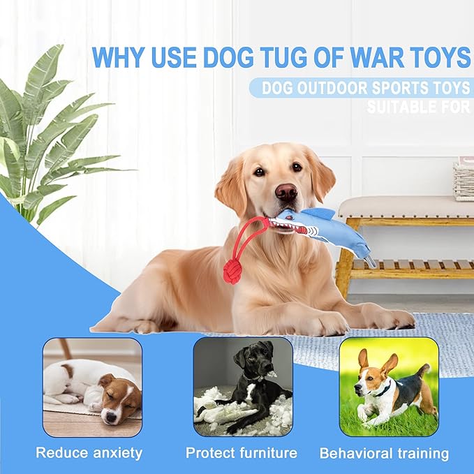 Dog tug of war Toy with Handle,Interactive Dog Toys with Squeak for Aggressive chewers, Durable Bungee Cord Toy with chew Ball-Mewly Pet