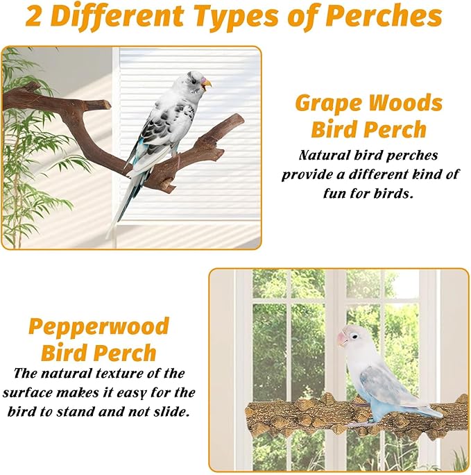 kathson 5pcs Natural Parrot Perch for Cage Wooden Bird Perches Grape Bird Stick Parakeet Climbing Standing Branches Toy Chewable Cage Accessories for Small Budgies Cockatiels Lovebirds Budgies-Mewly Pet