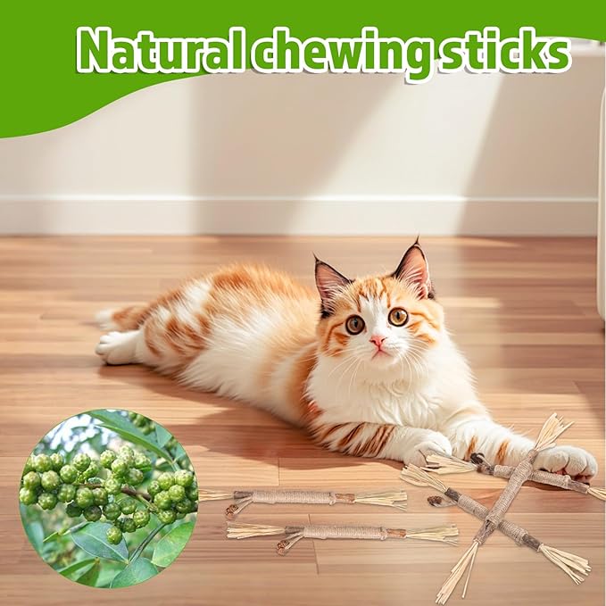 Silvervine Sticks for Cats 8 Pack Natural Cat Chew Toy Teeth Cleaning Edible Matatabi Dental Care Kitty Chew Sticks Catmint Cat Nip Treat Stick for Bored Indoor Kitty Calm Anxiety and Stress-Mewly Pet