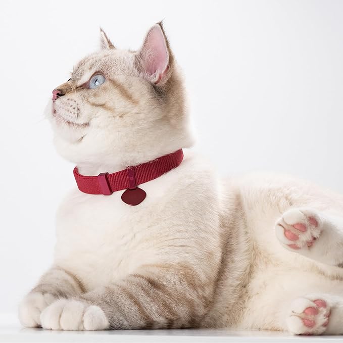 Safety Cat Collar Pro and Tag Set - U.S. IDA Gold Award, Elastic Release Cat Collar Charm Tag, Non Breakaway Cat Collar Adjustable with Charm for Kitten Small Large Cats (Olive, S)-Mewly Pet