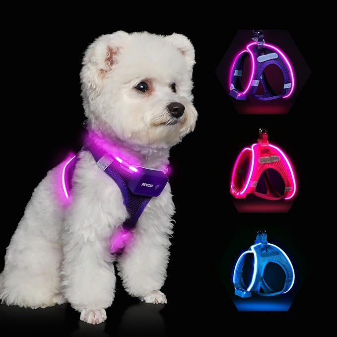Light Up Dog Harness,Rechargeable LED Dog Harness for Small Medium Large Dogs,Reflective Lighted Safety Vest for Night Walking & Camping,Lightweight & Adjustable,Purple,L-Mewly Pet