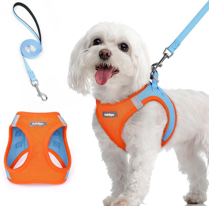 rabbitgoo Dog Harness Small Sized and Leash Set, Step in Soft Light Puppy Vest, Breathable Mesh Pet Harness, Reflective for Safe Easy Walking, Blue & Orange M-Mewly Pet