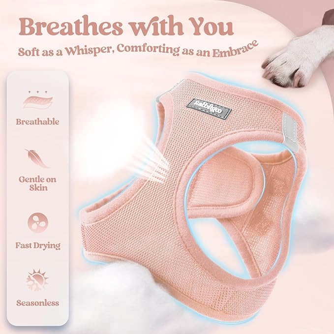 rabbitgoo Dog Harness Small Sized and Leash Set, Step in Soft Light Puppy Vest, Breathable Mesh Pet Harness, Reflective for Outdoor Safe Walking, Pink XL-Mewly Pet