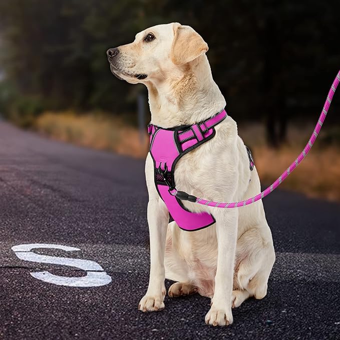 IVY&LANE No Pull Dog Harness for Medium Dogs,Dog Vest Harness with Leash,Safety Belt and Storage Strap, Fully Adjustable Harness,360° Reflective Strip,Soft Handle (Fuchsia Pink,M)-Mewly Pet