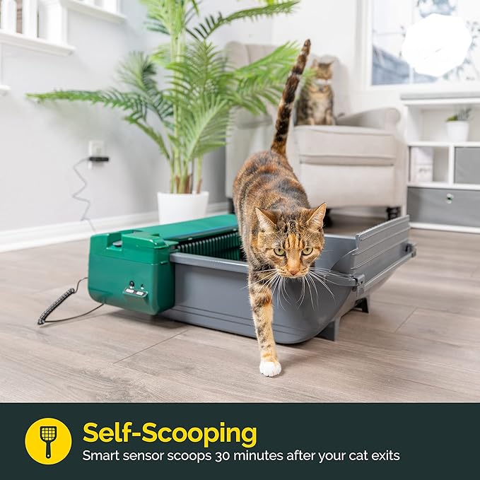 Pet Zone Smart Scoop Litter Box Value Pack, Self Cleaning, Hands-Free Large Litter Box, Easy to Clean-Mewly Pet