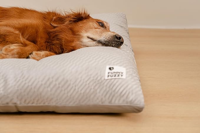 FUNNY FUZZY Washable Dog Bed,Reversible Plush Dog Crate Mat, Soft Fluffy Kennel Pad,Pet Sleeping Mattress for Jumbo,X-Large Sized Dogs Breeds,2XL,48"× 31",Light Grey-Mewly Pet