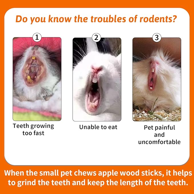 Fhiny 12 PCS Guinea Pigs Chew Toys, Natural Apple Branch Seagrass Molar Sticks for Teeth Bunny Chew Toys Cage Accessories for Guinea Pigs Rabbit Bunny Hamster Chinchilla-Mewly Pet