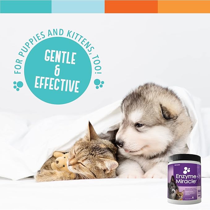 Digestive Enzymes for Dogs & Cats : Protein, Carbs, Starches & Fats Digestion : Supports Diet Change : Enzyme Miracle (364 Scoops, Powder)-Mewly Pet