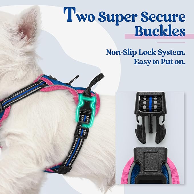 rabbitgoo Dog Harness No Pull with 2 Leash Clips, Adjustable Soft Padded, Reflective Oxford No Choke Pet Vest with Easy Control Handle for Large Dogs, Blue & Hot Pink, XS-Mewly Pet