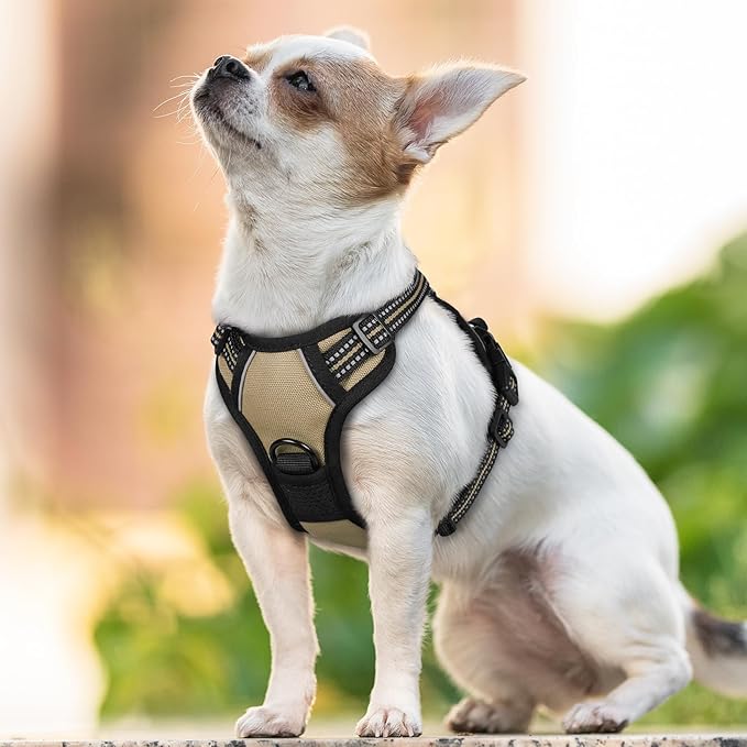 rabbitgoo Dog Harness No Pull with 2 Leash Clips, Adjustable Soft Padded, Reflective Oxford No Choke Pet Vest with Easy Control Handle for Puppy, Beige, XS-Mewly Pet