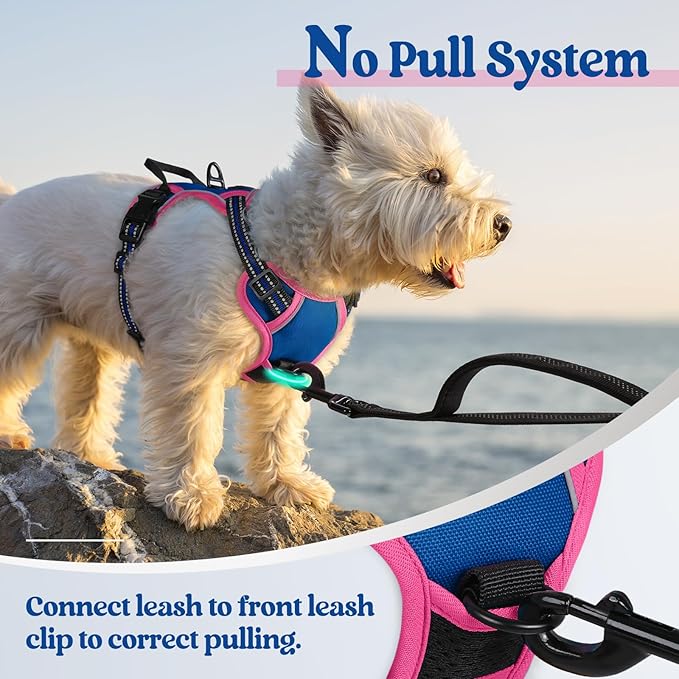 rabbitgoo Dog Harness No Pull with 2 Leash Clips, Adjustable Soft Padded, Reflective Oxford No Choke Pet Vest with Easy Control Handle for Large Dogs, Blue & Hot Pink, XS-Mewly Pet