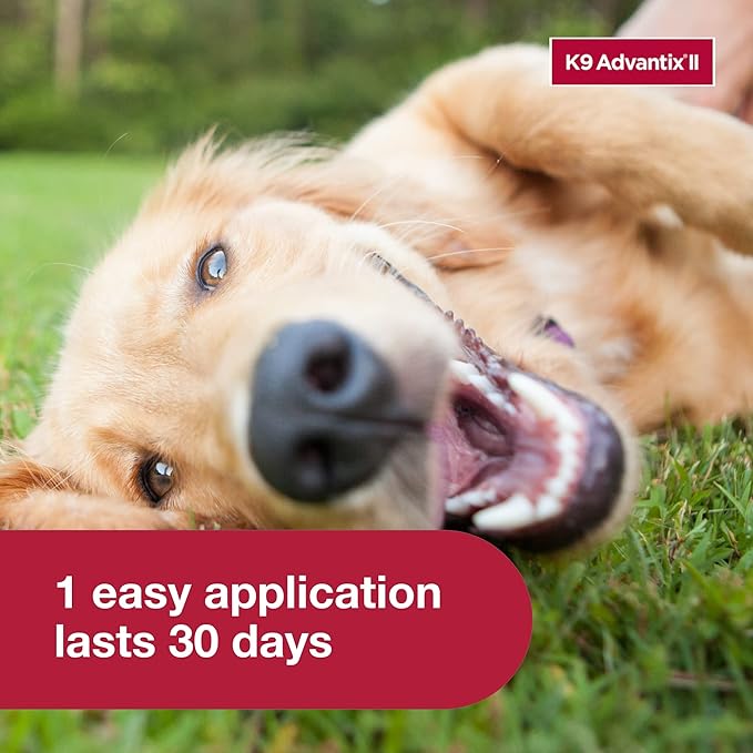 K9 Advantix II Large Dog Vet-Recommended Flea, Tick & Mosquito Treatment & Prevention | Dogs 21-55 lbs. | 1-Mo Supply-Mewly Pet