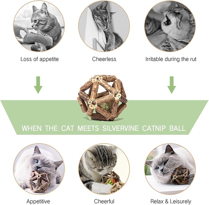 Catnip Toys-2Pcs Natural Silvervine Stick Catnip Ball&Bell Ball-Cat Toys for Indoor Cats- Cleaning Teeth Molar Tools Matatabi Cat Chew Toy-Kitten Toys All Breeds-Mewly Pet