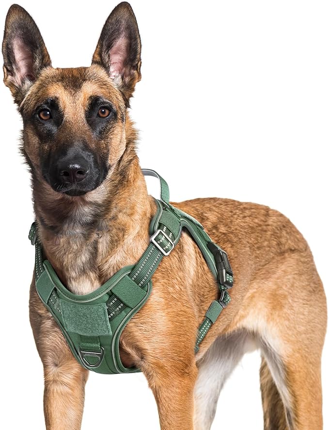 rabbitgoo Dog Harness for Large Dogs No Pull, Tactical Service Pet Vest with Molle and Control Handle, Adjustable and Reflective Military Harness for Easy Walking and Training, Green, XL-Mewly Pet