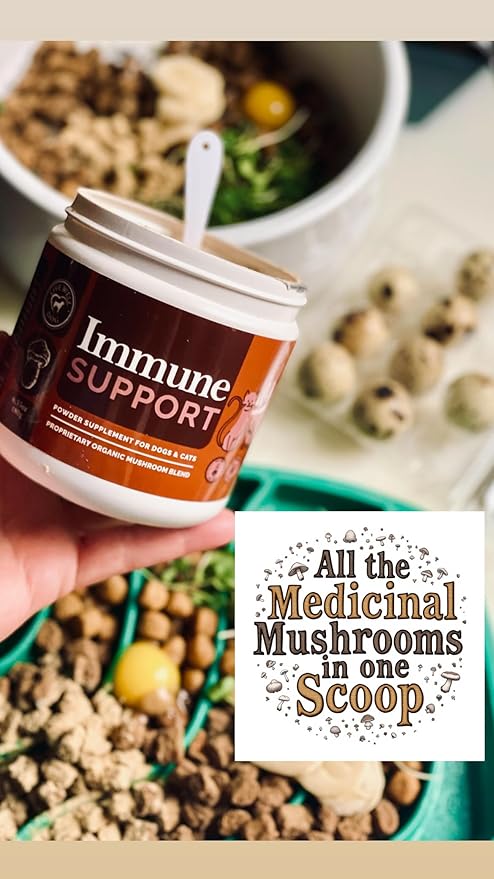 Immune Support Powder Food Topper, Large 6.35oz, Proprietary Organic Mushroom Blend, 300g-Mewly Pet