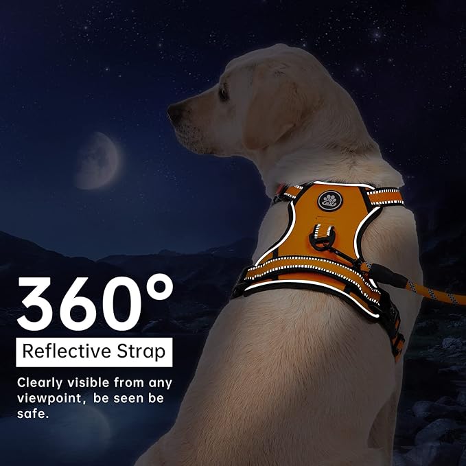 IVY&LANE No Pull Dog Harness for Large Dogs, Dog Vest Harness with Leash, Safety Belt and Storage Strap, Fully Adjustable Harness, 360° Reflective Strip, Soft Handle (Orange,X-Large)-Mewly Pet