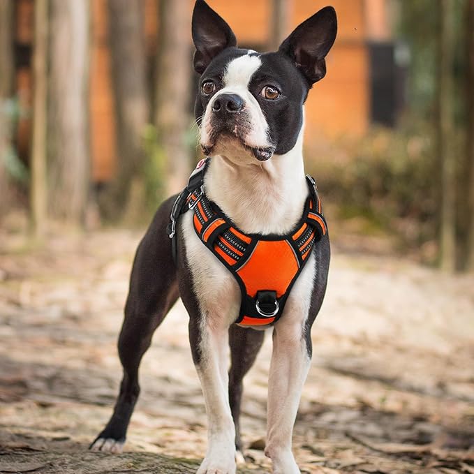 rabbitgoo Dog Harness Small Sized, No Pull Dog Vest with 3 Buckles, Adjustable Soft Padded Pet Harness with Easy Control Handle and Reflective Strips, Orange, S-Mewly Pet