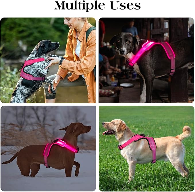 Light Up Dog Harness, Rechargeable Led Dog Harness with Battery Level Indicator, Adjustable Reflective Safety Vest for Night Walking, Soft Mesh Lighted Harness for Medium Large Dogs(5-90lbs)-Mewly Pet