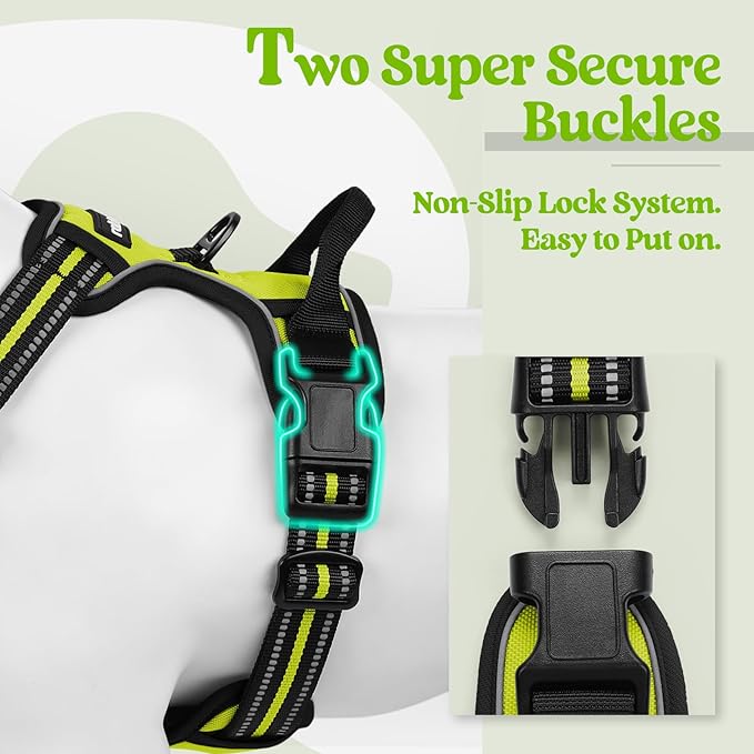rabbitgoo Dog Harness No Pull with 2 Leash Clips, Adjustable Soft Padded, Reflective Oxford No Choke Pet Vest with Easy Control Handle for Medium Sized Dogs, Green, M-Mewly Pet