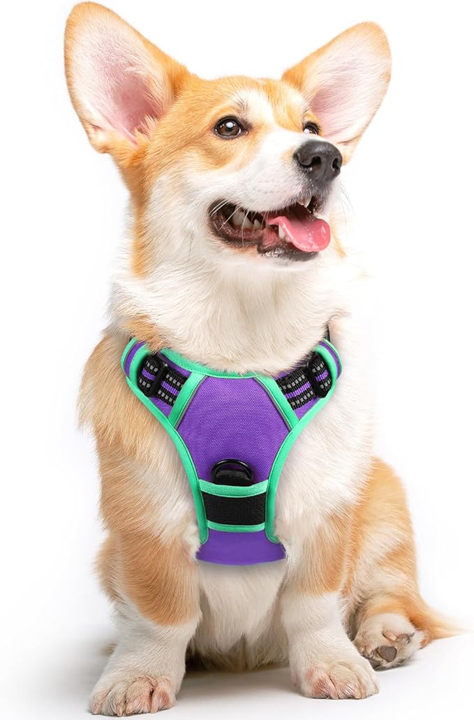 Eagloo Dog Harness for Large Dogs, No Pull Service Vest with Reflective Strips and Control Handle, Adjustable and Comfortable for Walking, No Choke Harness with 2 Metal Rings, Purple & Green, M-Mewly Pet