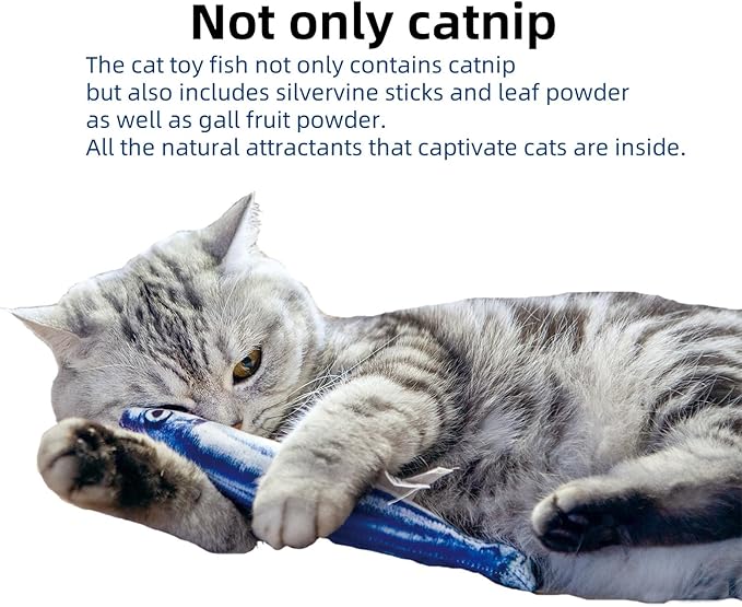 6 PCS Cat Fish Toy Soft and Durable,Cat nip Toy with Catnip Inside, Kicker Toys for Indoor Kitten Exercise,Kitty Teething Chew Toy (6 Sauries)-Mewly Pet