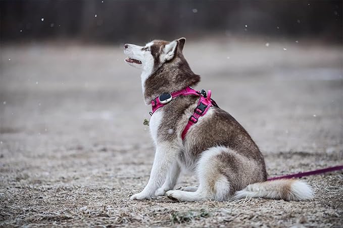 TRUE LOVE Truelove Adjustable No-Pull Dog Harness Reflective Pup Vest Harnesses Comfortable Control Brilliant Colors TLH5651(Fushcia,S)-Mewly Pet