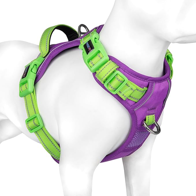 PHOEPET No Pull Dog Harness, Unique Colors Reflective Adjustable Dog Vest, with Soft Training Handle Metal Clips for Small Medium Large Dogs (Purple Base & Green Straps,L)-Mewly Pet