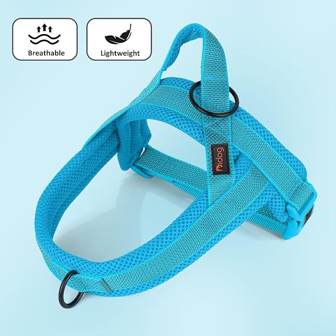 Didog No Pull Dog Harness with Breathable Mesh Padded, Full Reflective & Quick Fit Adjustable Vest Harness, Easy for Training Walking for Small & Medium and Large Dogs (Blue, M:Chest 21-26")-Mewly Pet