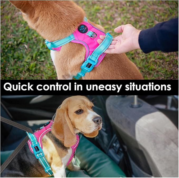 PHOEPET No Pull Dog Harness, Unique Colors Reflective Adjustable Dog Vest, with Soft Training Handle Metal Clips for Small Medium Large Dogs (Pink Base & Green Straps,L)-Mewly Pet