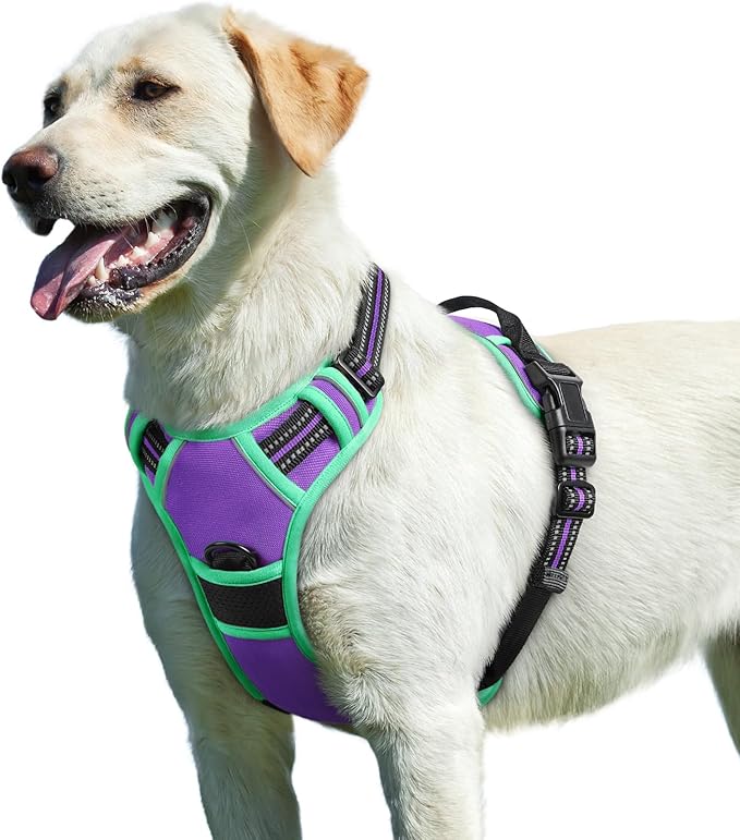 Eagloo Dog Harness for Large Dogs, No Pull Service Vest with Reflective Strips and Control Handle, Adjustable and Comfortable for Walking, No Choke Pet Harness with 2 Metal Rings, Purple & Green, L-Mewly Pet