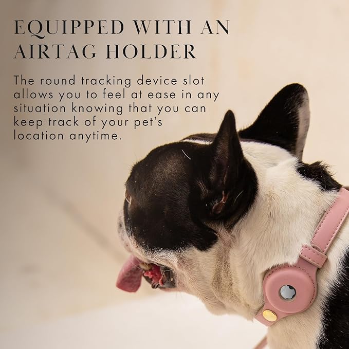 Cupertino Dog Collars, Harnesses & Leashes Made from Vegan Leather with Dog Tracker Device Holder Adjustable Dog Collar (Extra Small (Neck: 9x12), Pink)-Mewly Pet