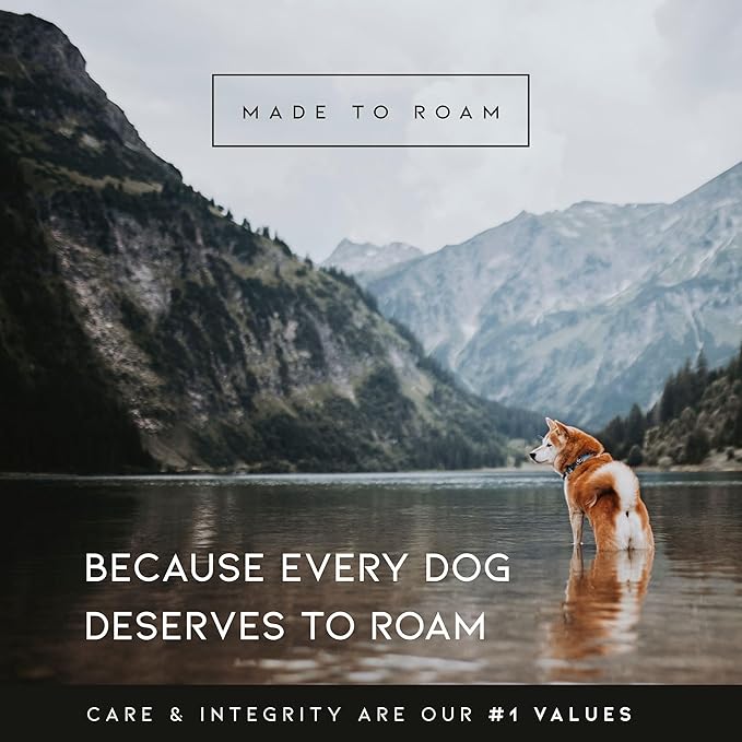 MADE TO ROAM Premium Explorer Harness - Y-Shaped Dog Harness with Adjustable Durable Nylon, Soft Padding, Metal Buckles and Leather Handle for Small, Medium, Large Dogs (California Horizon, Size 1)-Mewly Pet